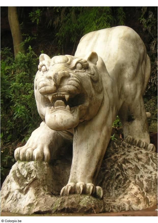 tiger in leshan park Photo tiger in leshan park