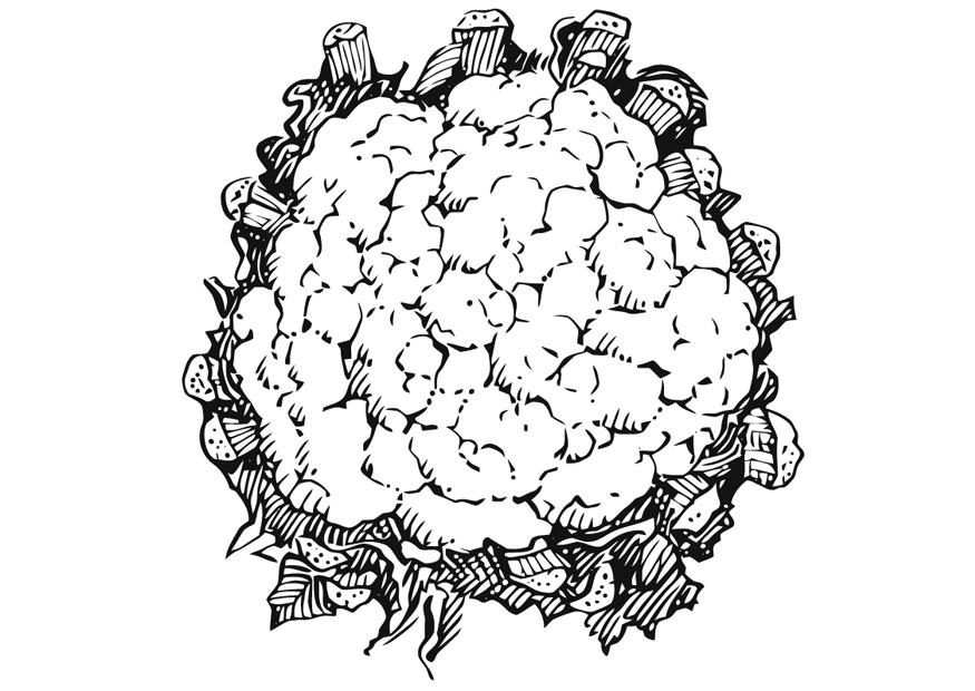 cauliflower Coloring page cauliflower