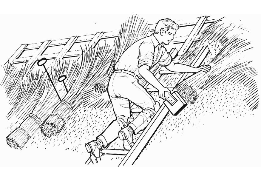 Coloring page scattering on roof