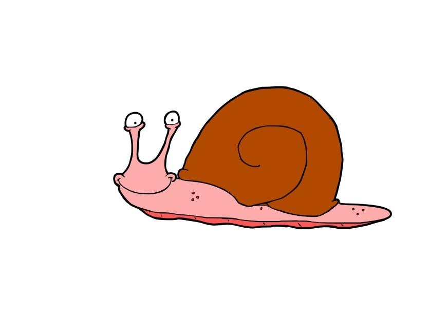 snail Image snail