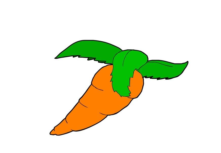 carrot Image carrot
