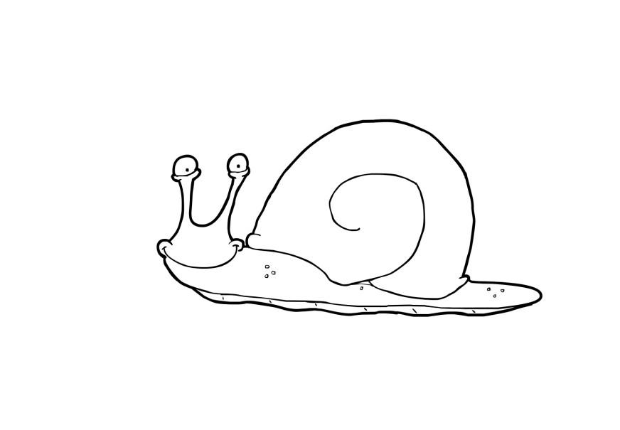 snail Coloring page snail