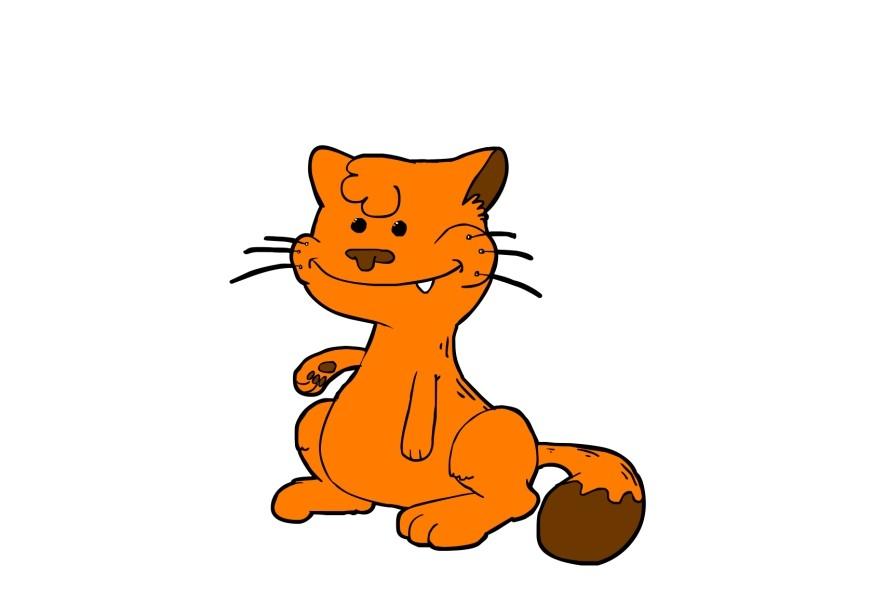 cat Image cat