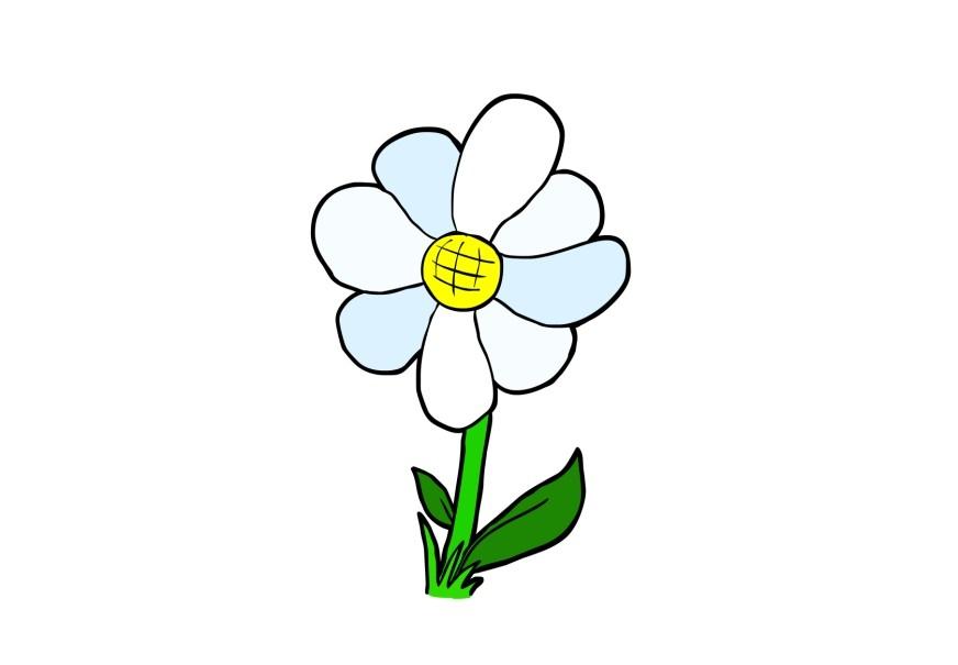 flower Image flower