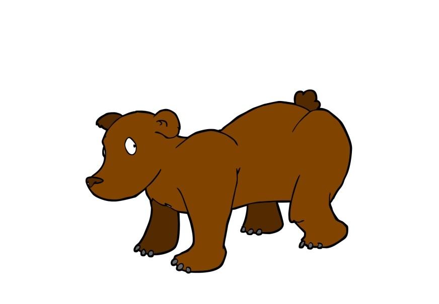 bear Image bear