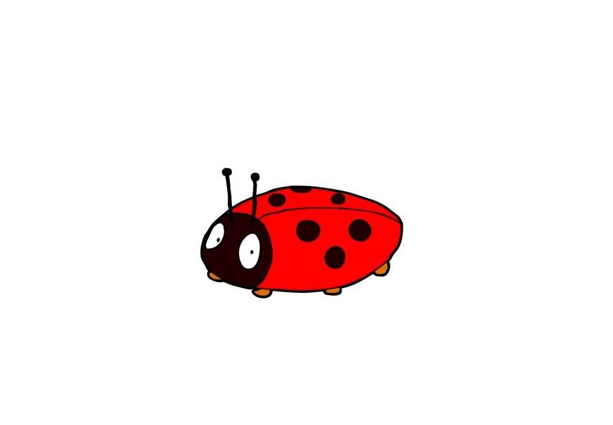 ladybird Image ladybird