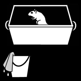 clean out the gerbils cage Coloring page clean out the gerbils cage