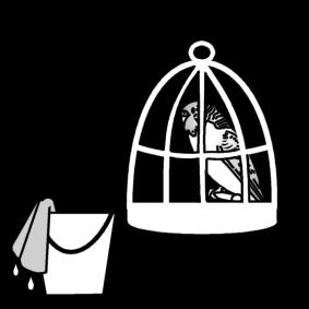 clean out the grass parakeets cage Coloring page clean out the grass parakeets cage