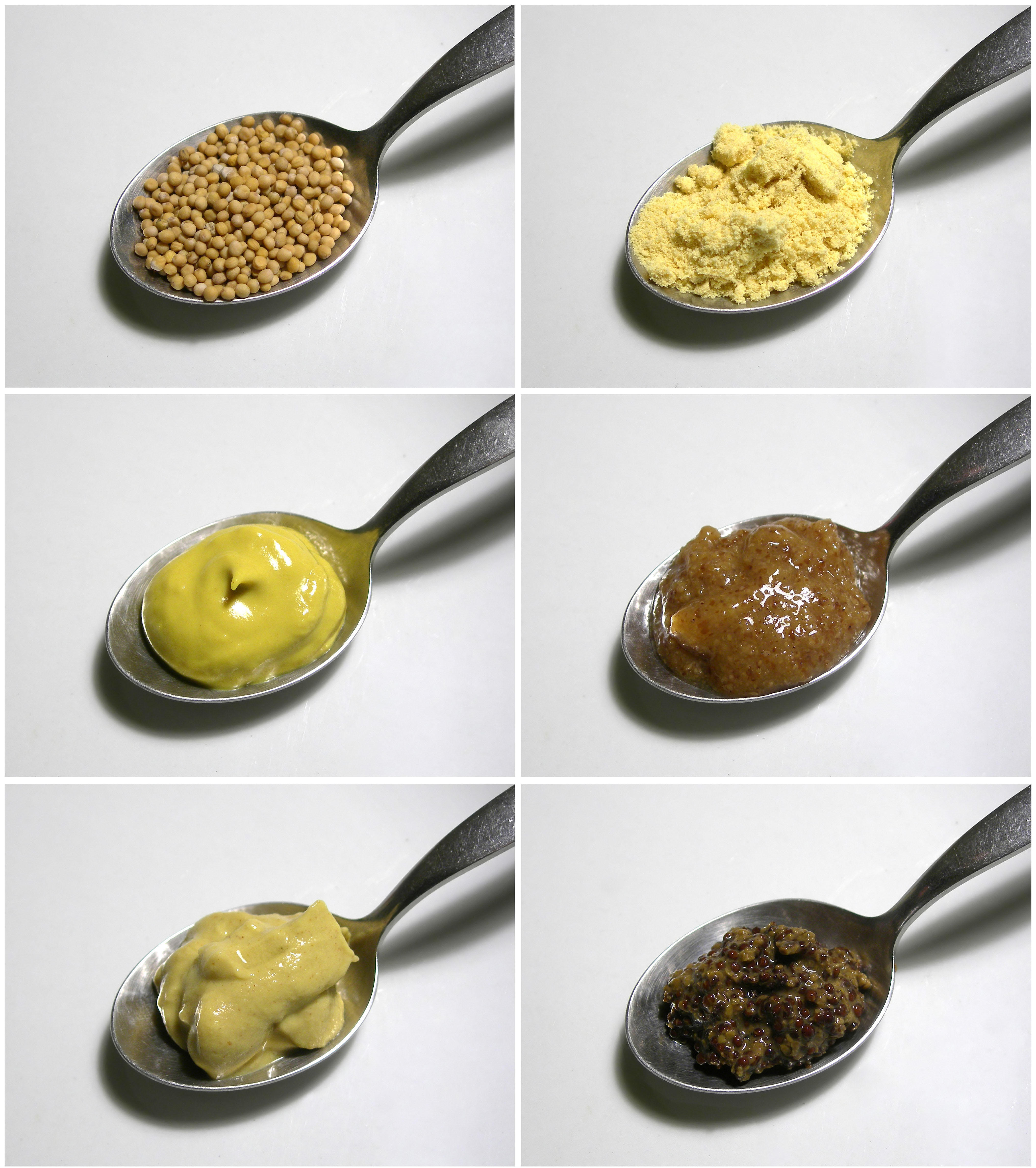mustard Photo mustard