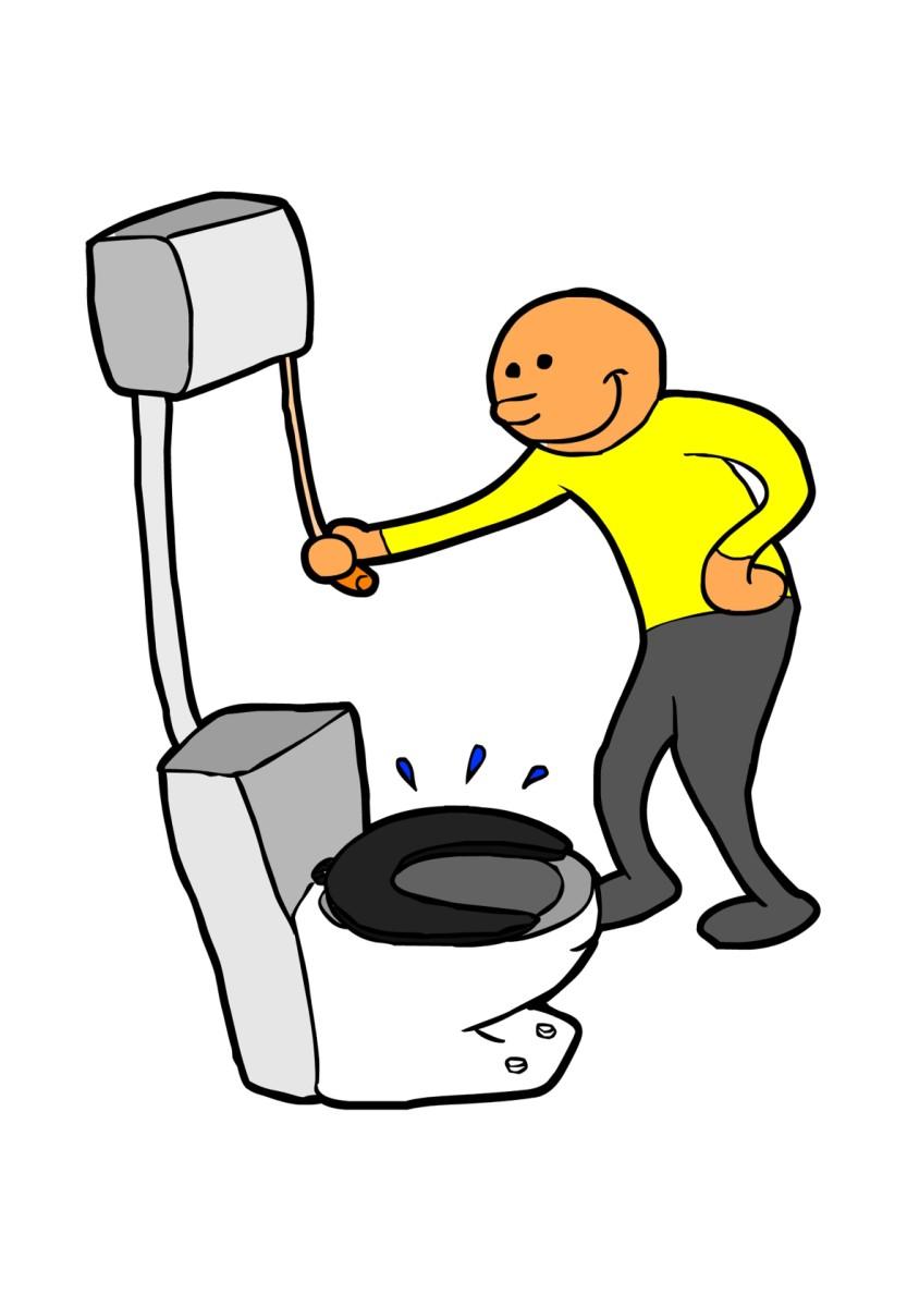 flush Image flush