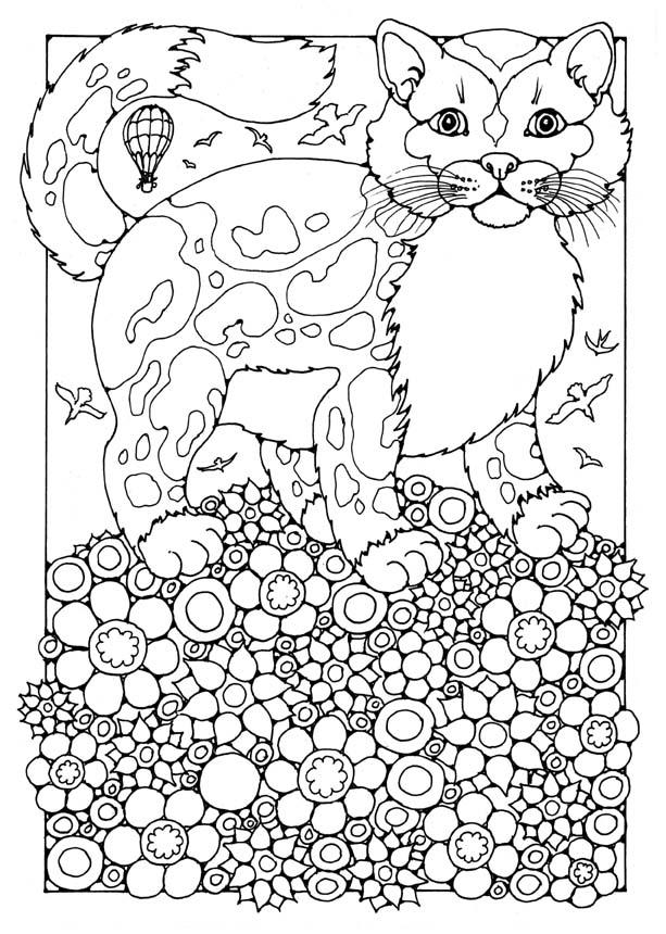 cat Coloring page cat