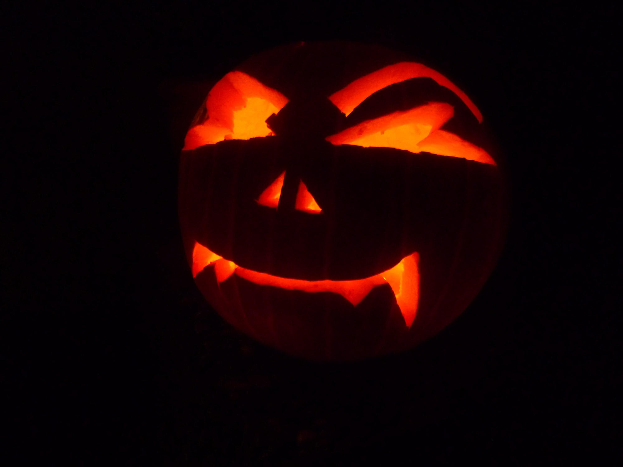 pumpkin Photo pumpkin