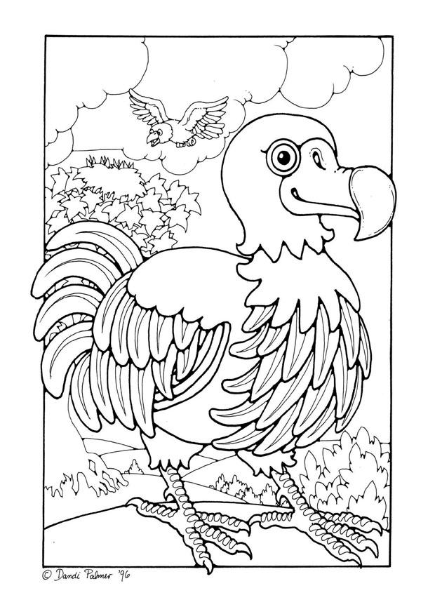 dodo Coloring page dodo