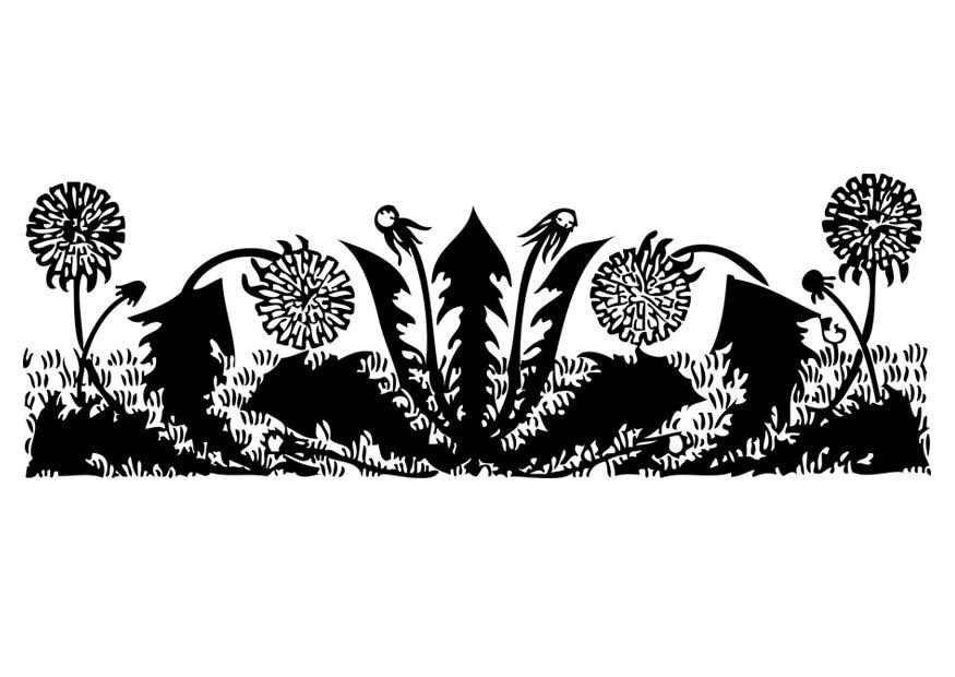 dandelion Coloring page dandelion