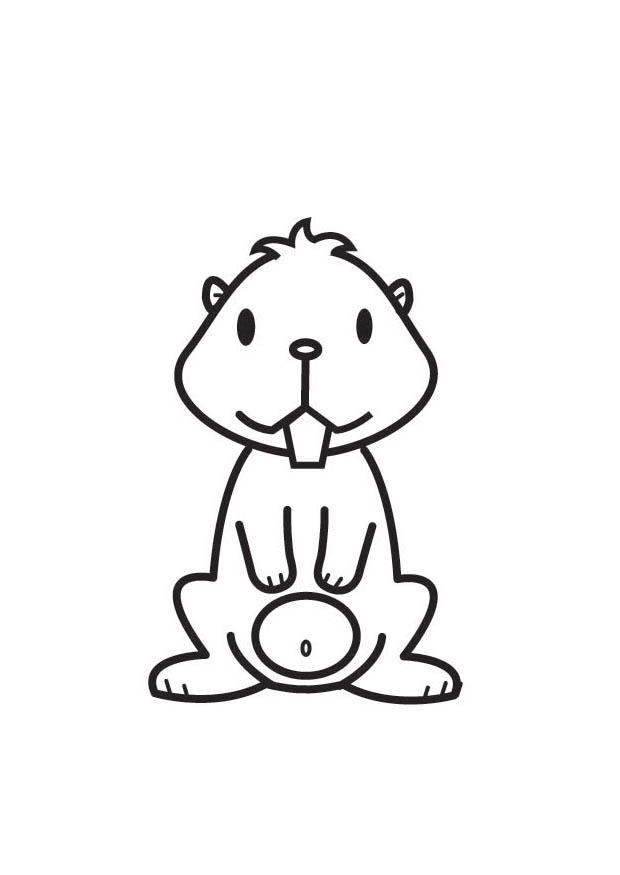 hamster Coloring page hamster