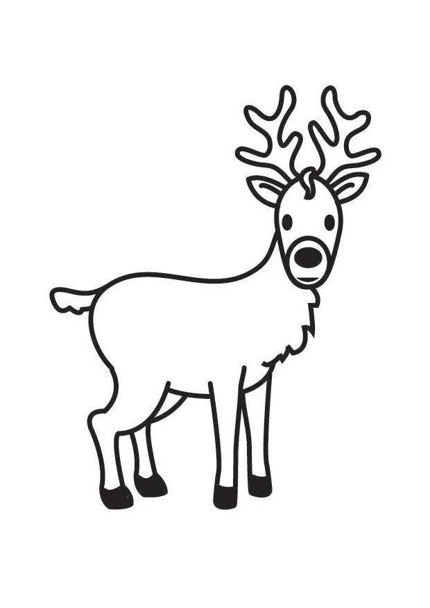 deer Coloring page deer