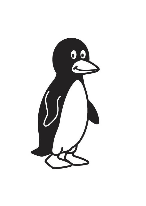 penguin Coloring page penguin