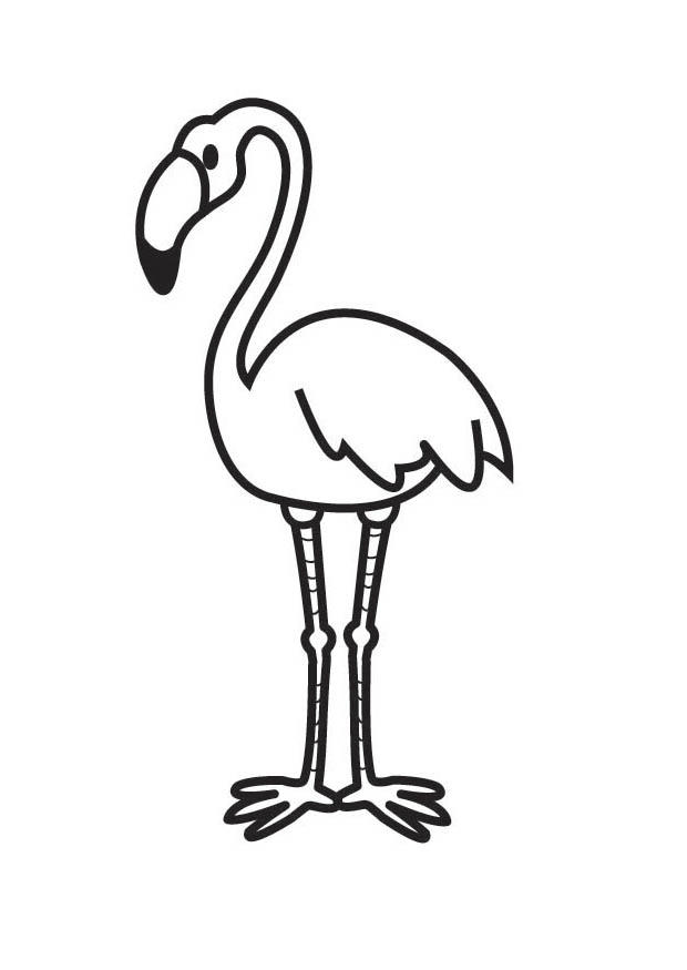 flamingo Coloring page flamingo