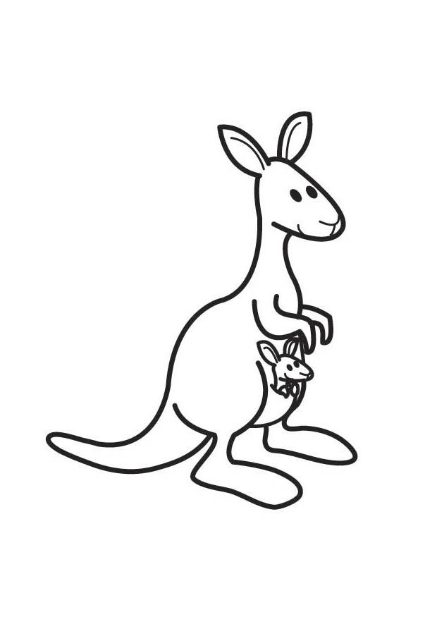 kangaroo Coloring page kangaroo