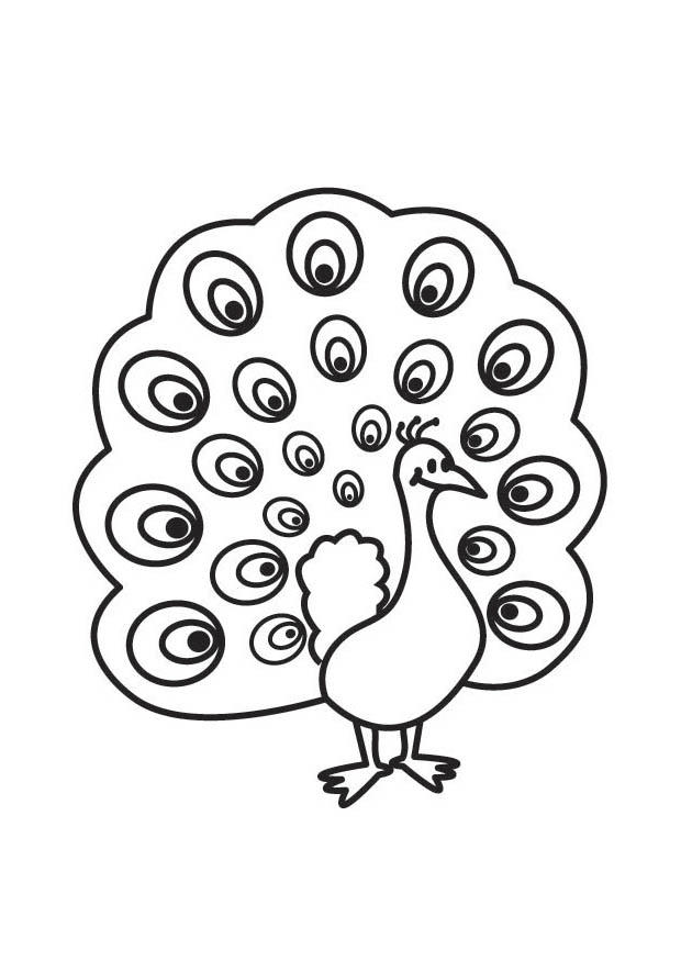 peacock Coloring page peacock