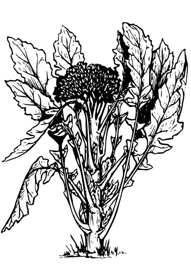 brocoli Coloring page brocoli