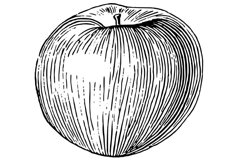 apple Coloring page apple