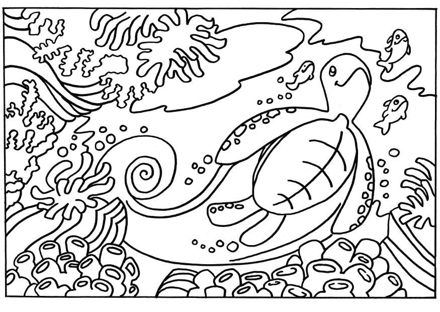 Coloring page turtle