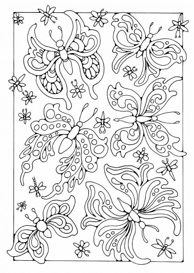 butterflies Coloring page butterflies