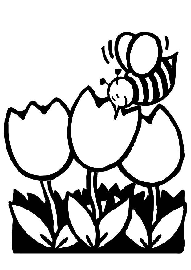 tulips with honeybees Coloring page tulips with honeybees