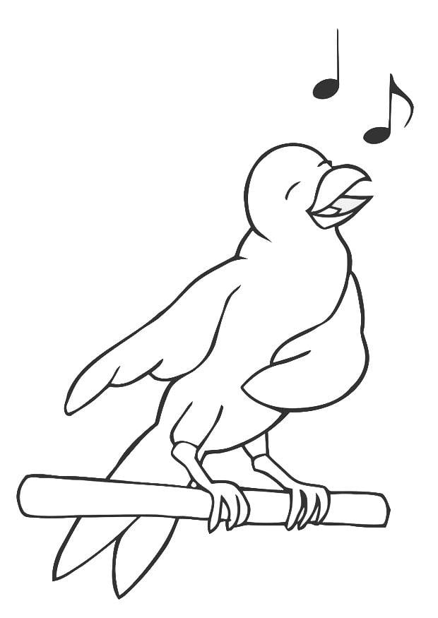 Coloring page singing bird