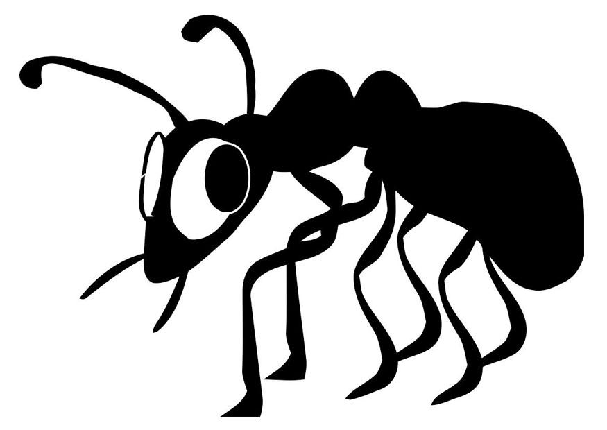 Coloring page ant