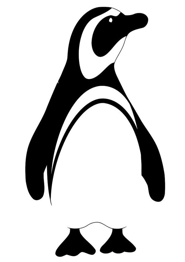 penguin Coloring page penguin