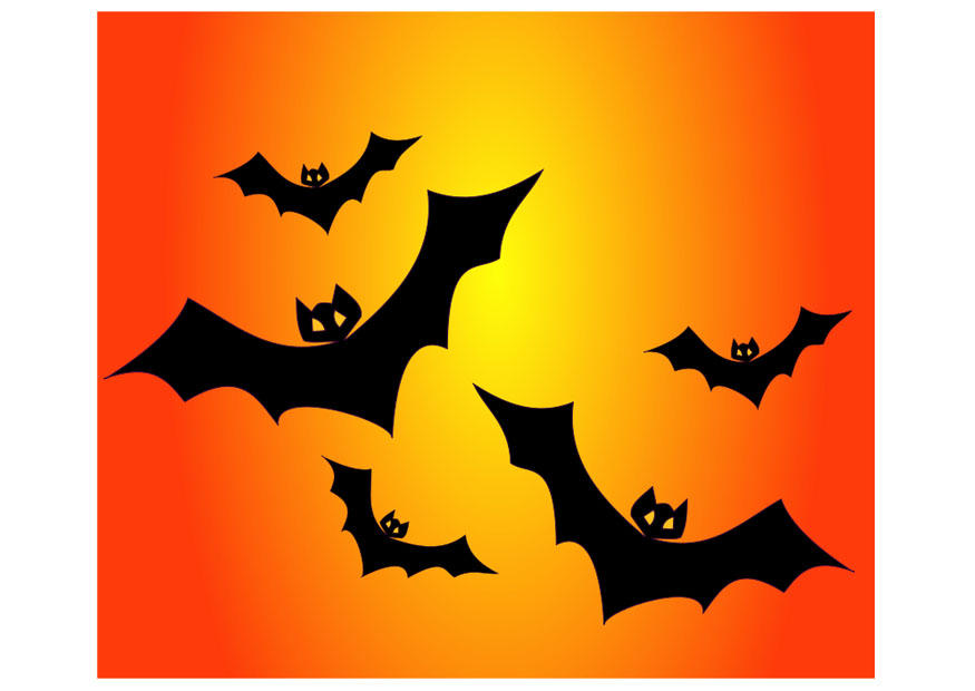 bats Image bats