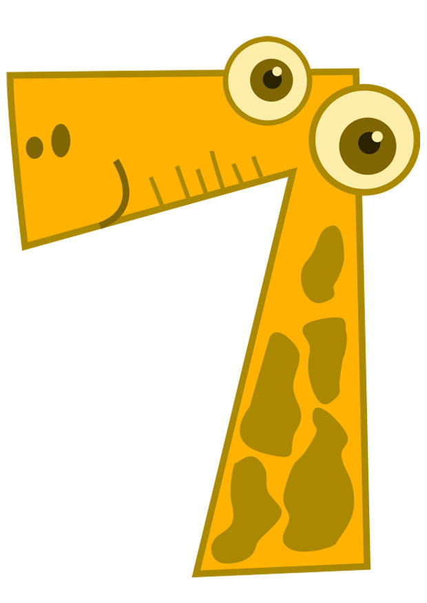number - 7 Image number - 7