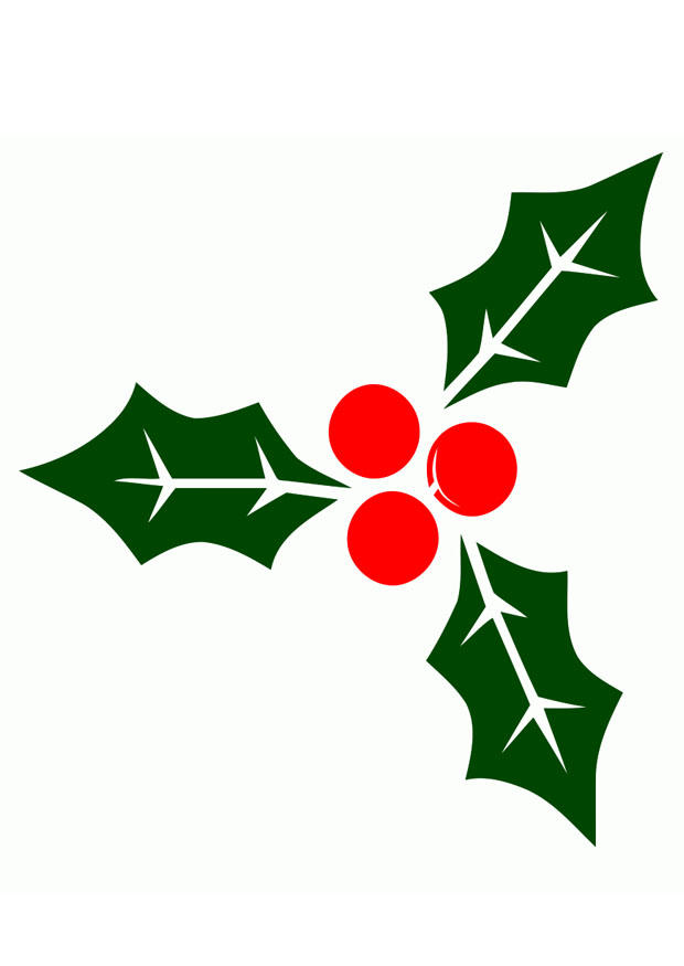 holly Image holly