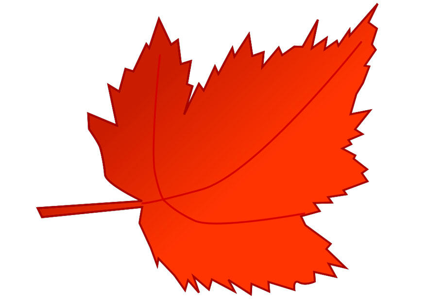 autumn leaf Image autumn leaf