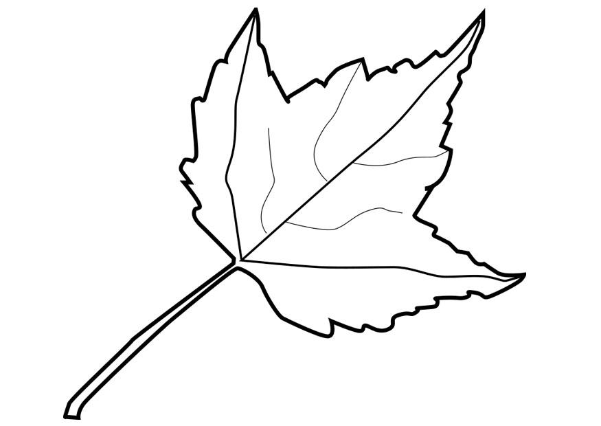 leaf Coloring page leaf