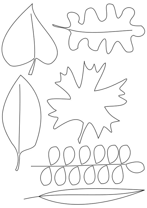 Coloring page leaves
