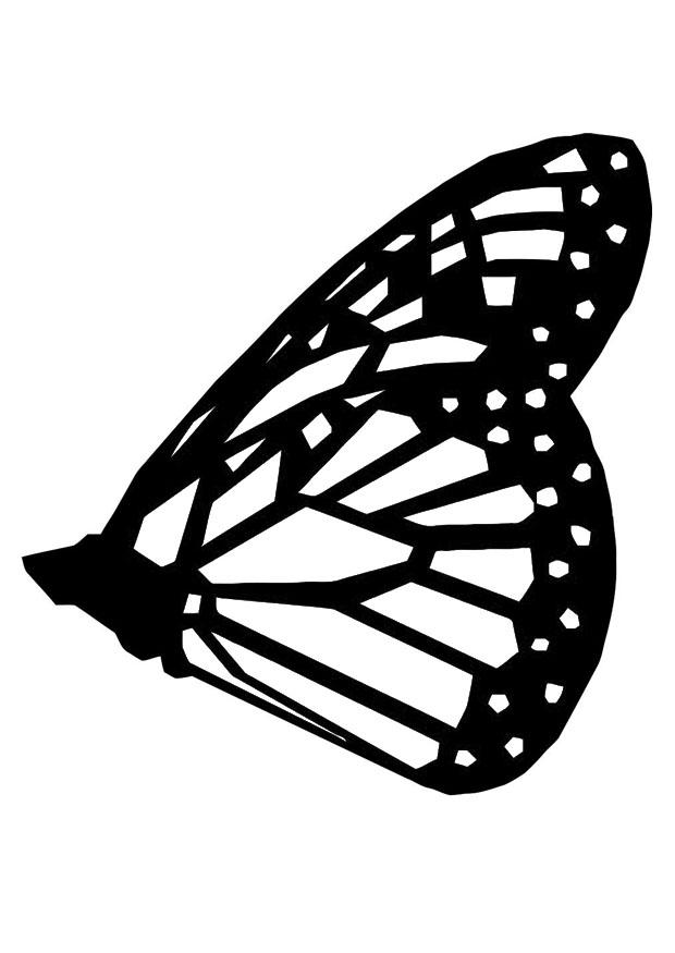 butterfly Coloring page butterfly