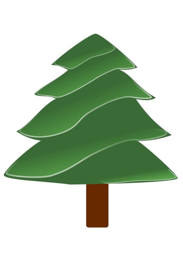 pine tree Image pine tree