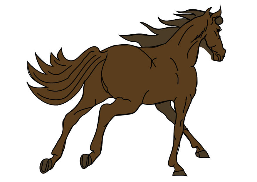 horse Image horse