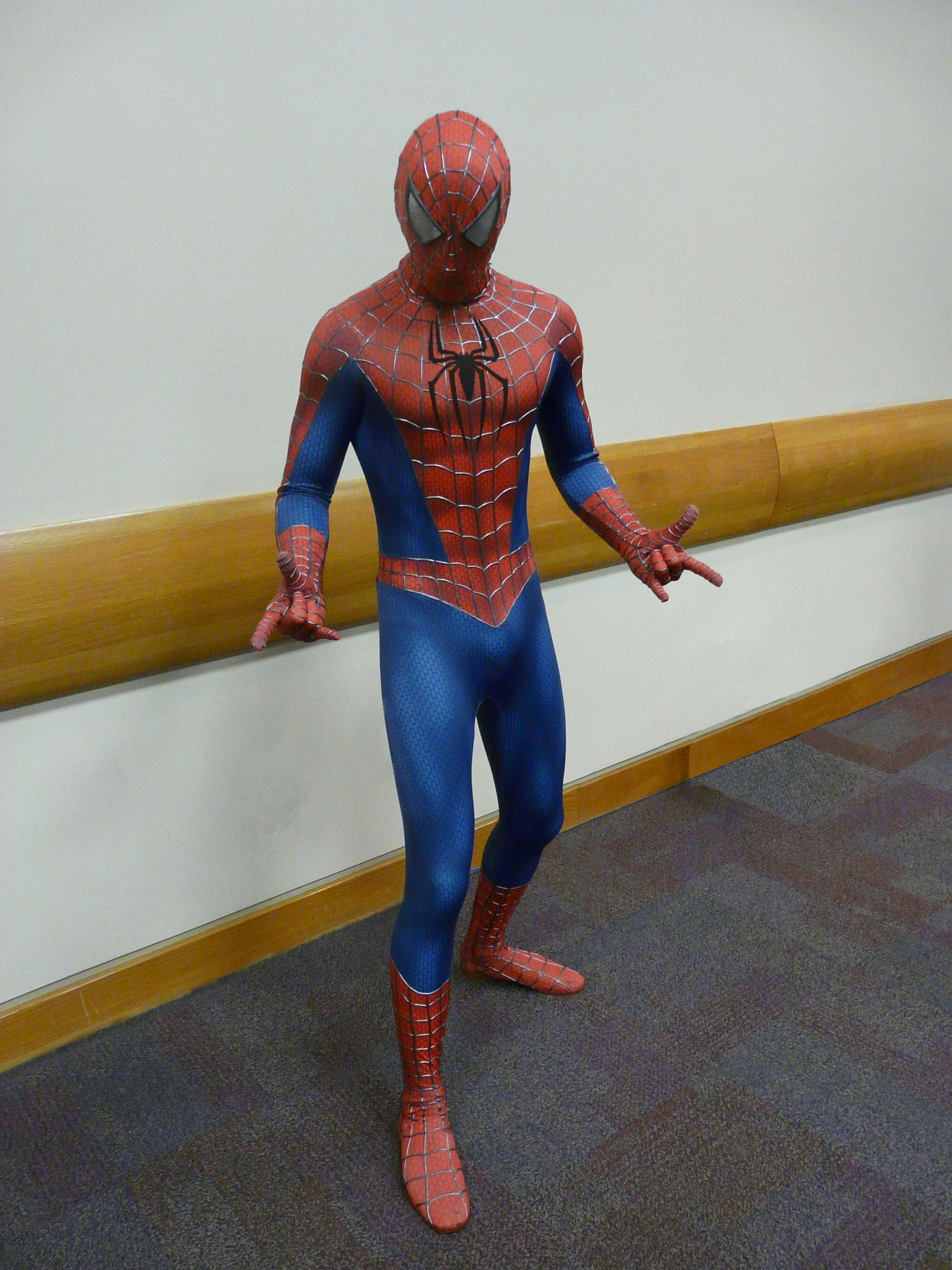 spider-man Photo spider-man