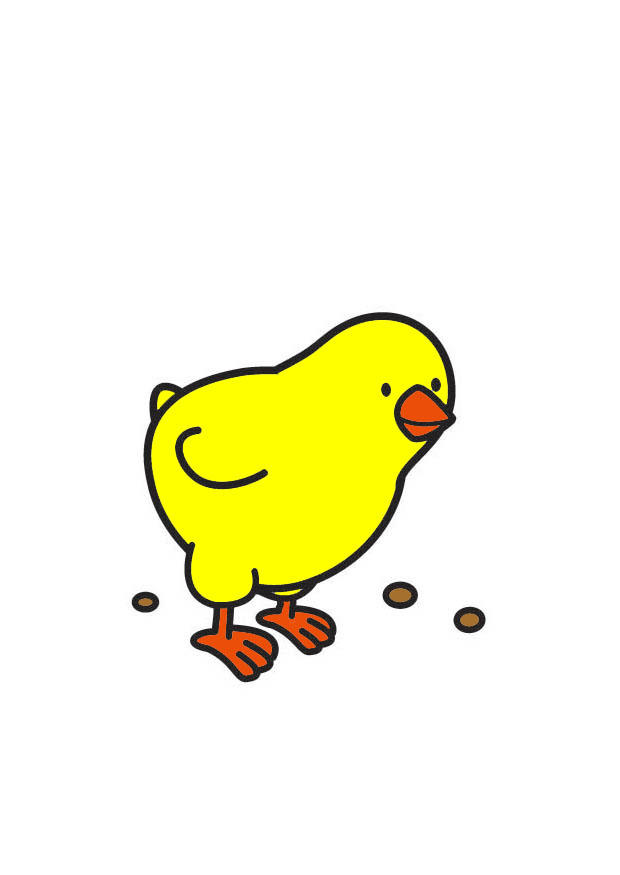 chick Image chick