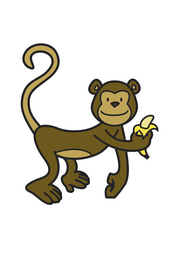 monkey Image monkey