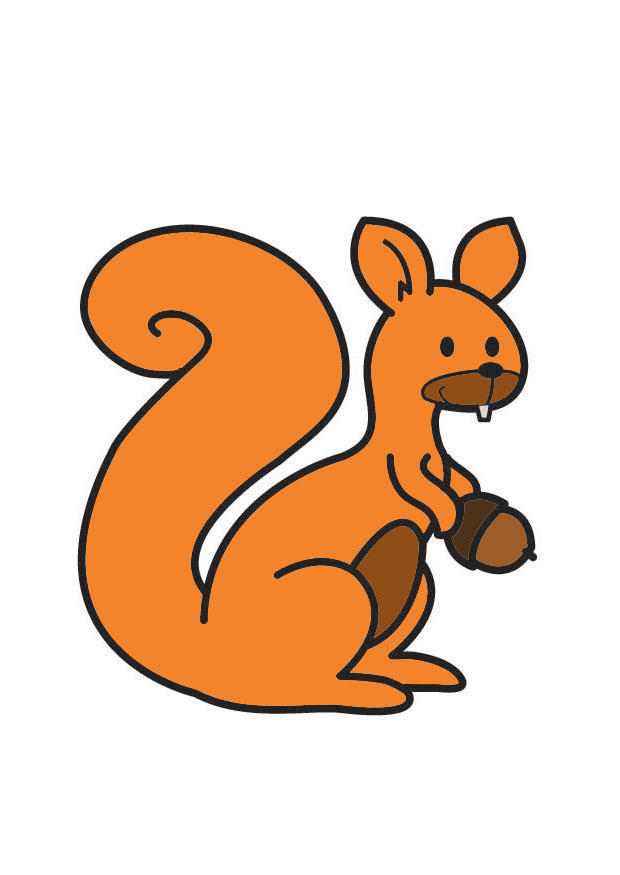squirrel Image squirrel