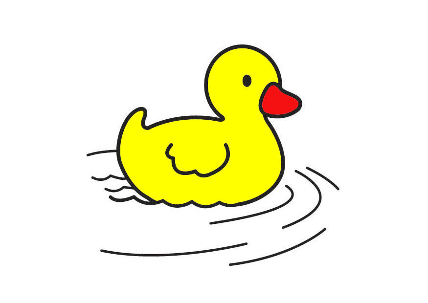 duckling Image duckling