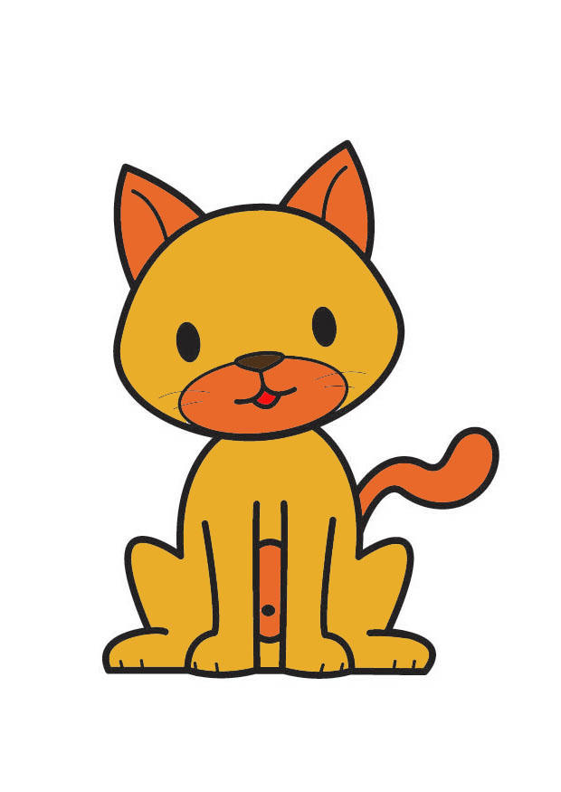cat Image cat