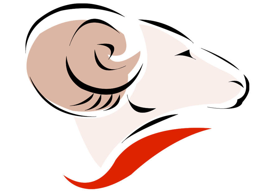 aries Image aries