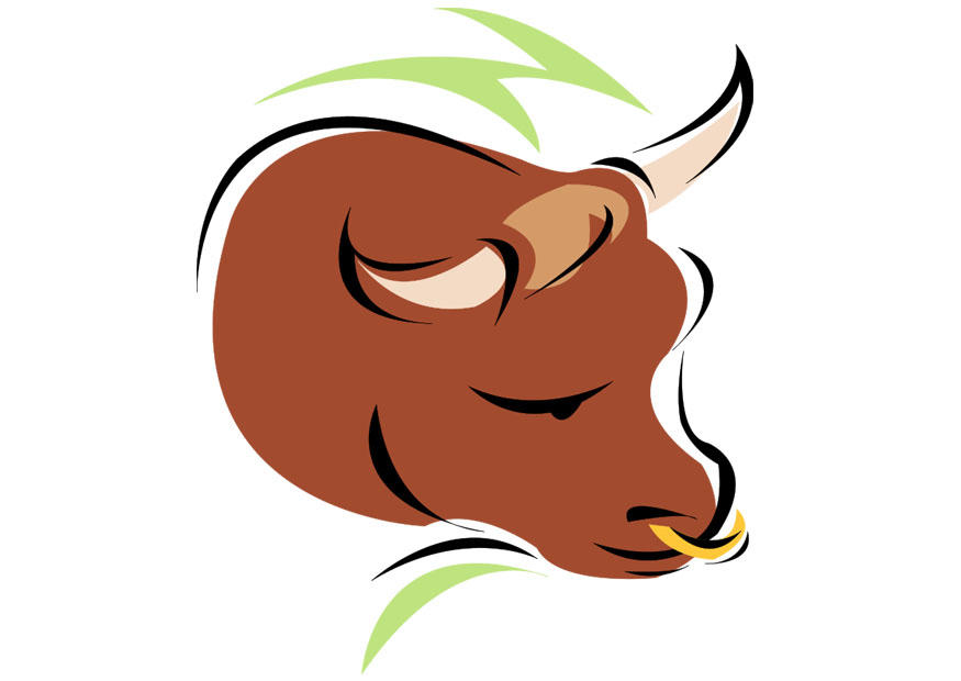 taurus Image taurus