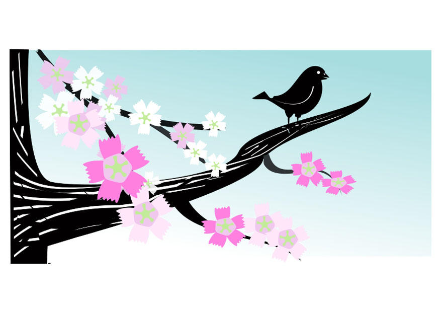 Image spring